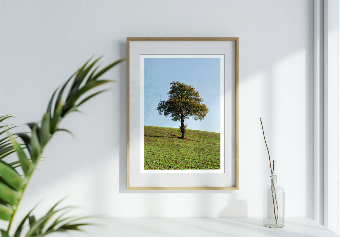 The Lonely Tree