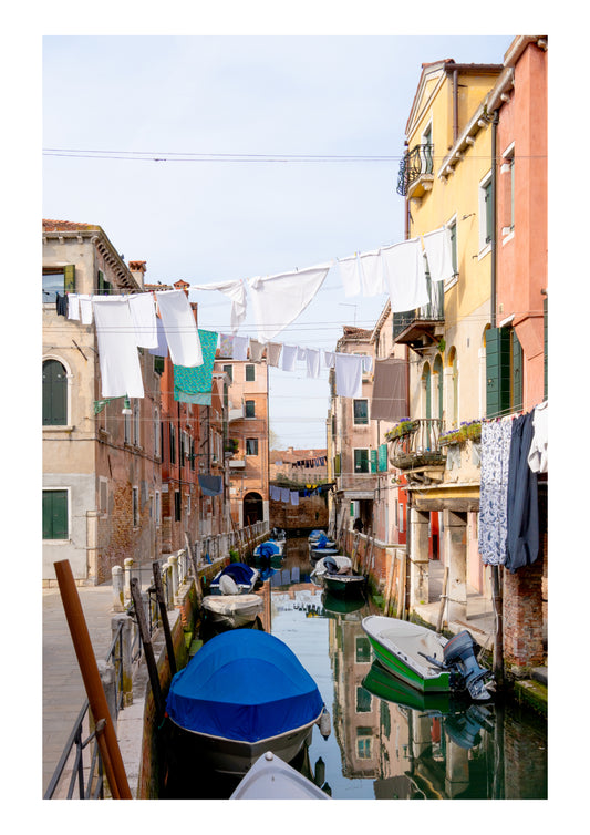 Beneath the Laundry Lines